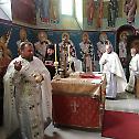  Честица моштију Светог владике Николаја у храму у Осечини