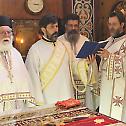 Patriarch Porfirije: Temptations open the spiritual eye