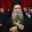 Proclamation of Archimandrite Jerotej (Petrovic) for Bishop of Toplica