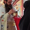 Изношење Часног Крста у манастиру Раковцу