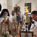 Patriarch Porfirije: Healing is a spiritual event and concerns the whole person