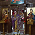 Свети мученици Макавеји литургијски прослављени у Петроварадину
