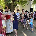 Свети великомученик Пантелејмон прослављен у Мирковцима