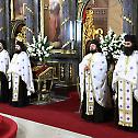Proclamation of Archimandrite Damaskin for Bishop of Mohacs