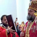 Епископ Стефан служио свету Литургију у храму Светог апостола Луке у Крњачи