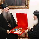 Patriarch Porfirije receives Coptic Bishop of Central Europe