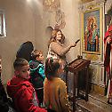 Традиционални дечји сабор у манастиру Добриловини 