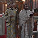 Празник Светог Луке и Светог Петра Цетињског у Карловцу  