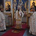 Празник Светог Луке и Светог Петра Цетињског у Карловцу  