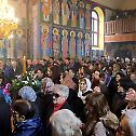 Ваведење у Вишеграду