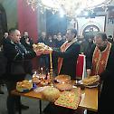 Прослава Светог Саве у Лајковцу