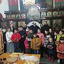 Прослава Светог Саве у Лајковцу