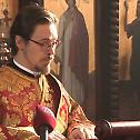 Епископ Сава: Вера и жудња за Христом исцељују духовно слепило 