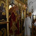 Недеља по Богојављењу у Цетињском манастиру
