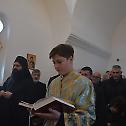 Света Три Јерарха молитвено прослављена у Тополи