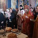Епископ Василије служио у Великој Ремети