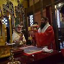 Епископ Арсеније богослужио у манастиру Ђунис
