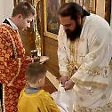 Епископ Херувим: Славопој јерусалимске деце је славопој свих нас