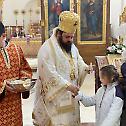 Епископ Херувим: Славопој јерусалимске деце је славопој свих нас