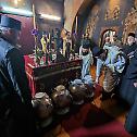 Completion of the Myrrh cooking: Consecration of the Holy Myrrh during the Liturgy in the old Cathedral Church