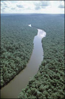 Амазонија